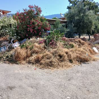 Didim Akbük'te Biriken Çöpler Çevre Ve Yangın Riski Oluşturuyor