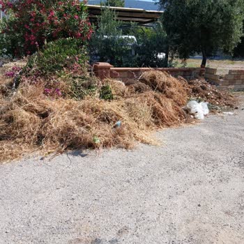 Didim Akbük'te Biriken Çöpler Çevre Ve Yangın Riski Oluşturuyor