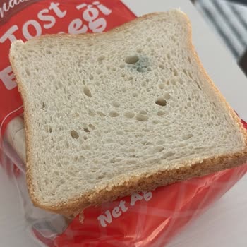 Son Kullanma Tarihi Geçmeyen Ürünlerin Küflenmesi Ve Kalite Sorunları