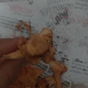 Öncü Döner Bayat Ve Kötü Kokulu Döner Deneyimi!