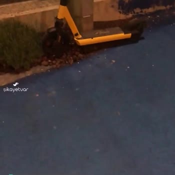 Tazı'dan Şikayet Var