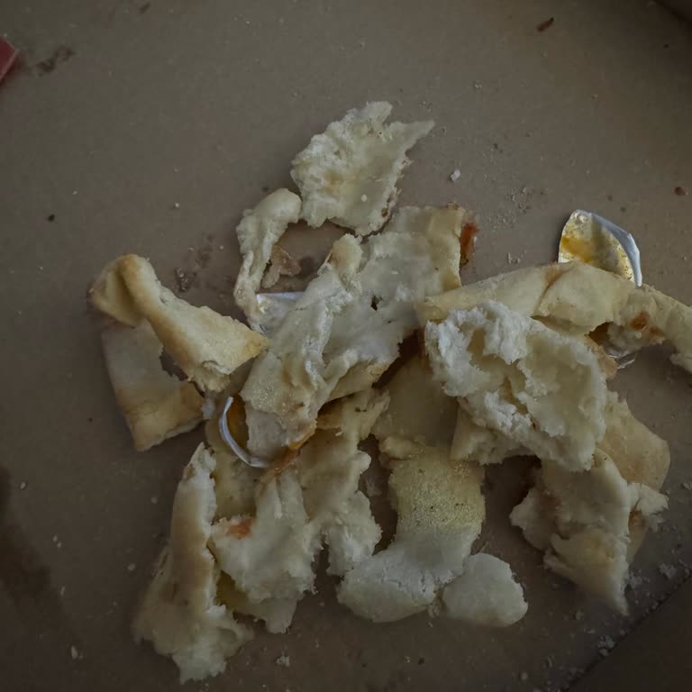 Eksik Pişmiş Ve Geç Teslim Edilen Pizza Sorunu