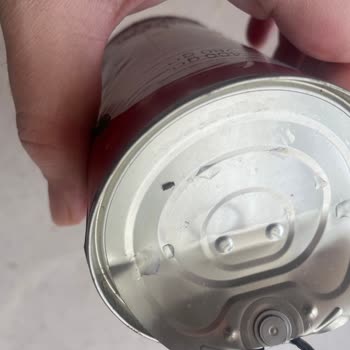 Getir'den Aldığım Domateste Böcek Şoku!