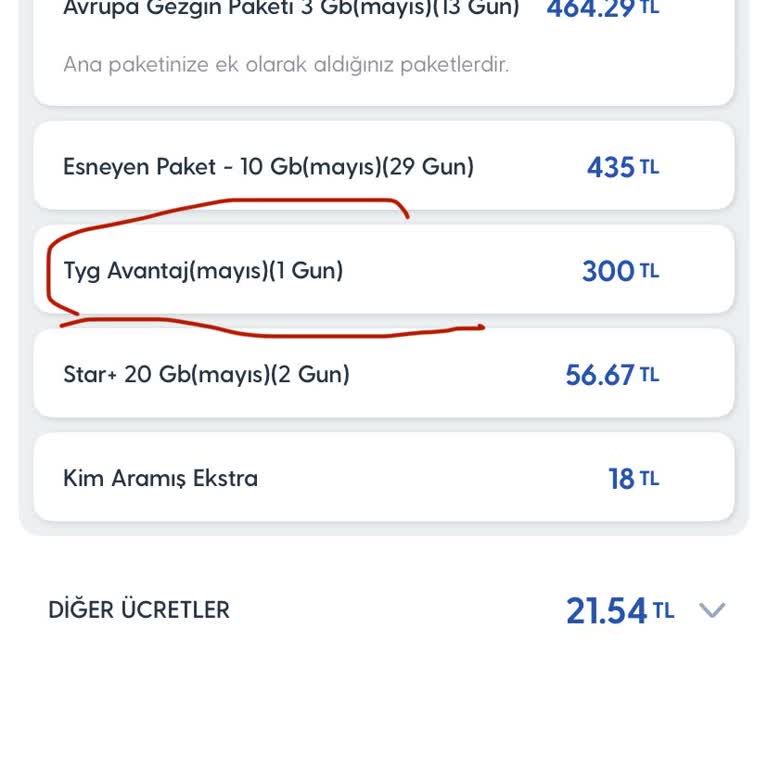 Avrupa Gezgin Paketi Kullanılmadan Ek Ücret Yansıtıldı