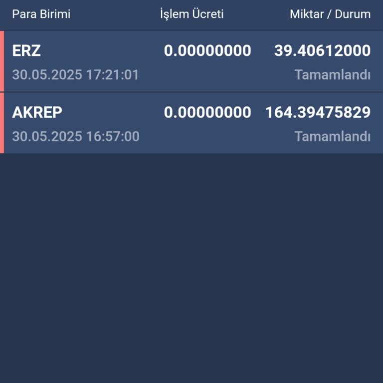 Bitexen Hesabımdaki Tokenlar Bilgim Dışında Eksildi Ve Zarar Ettim