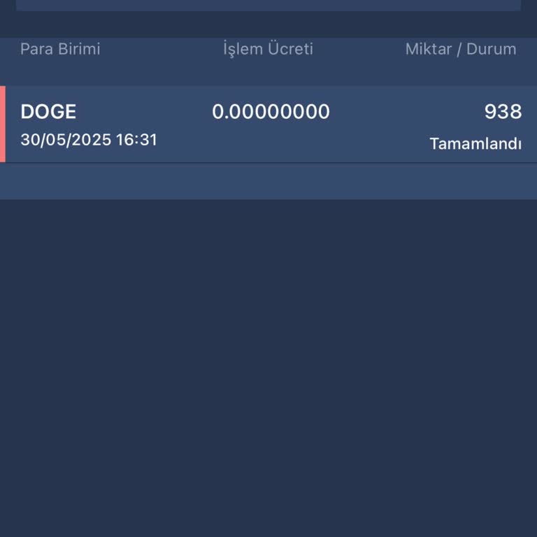 Hesabımdaki Dogecoin'lerin Bilgim Dışında Transfer Edilmesi Hakkında Endişelerim