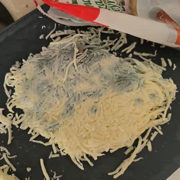 Son Kullanma Tarihine Rağmen Bahçıvan Mozerella Peynir Küflü Çıktı