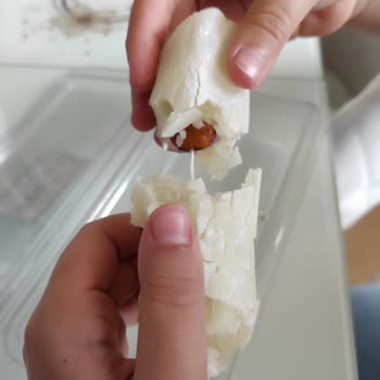 Ziya Efendi Cezerye Ve Kuruyemiş Makam Şube Tarsus Şikayeti