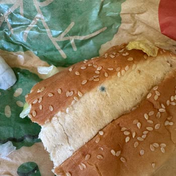 Burger Kingden Küflü Hamburger Geldi Sağlığımız Riske Atıldı