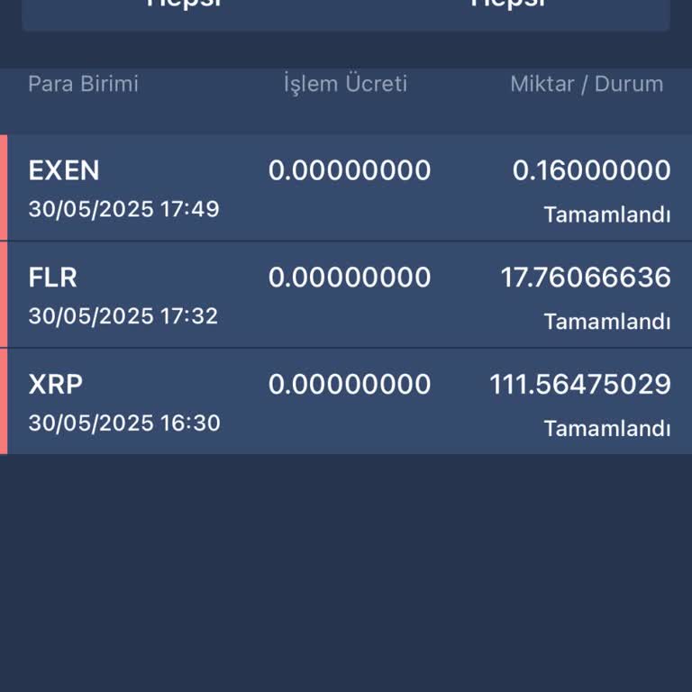 Coinlerim Sıfırlandı, Destek Ekibi Cevap Vermiyor!