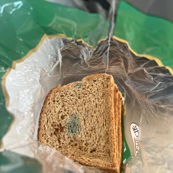 BİM'den Aldığım Üründe Yoğun Küf Ve Sağlık Riskiyle Karşılaştım