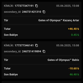 Yatırımlar Sonrası Ödeme Alamama Ve Yanıltıcı Oyun Deneyimi