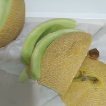 Migros Sanal Marketten Gelen Çürük Kavun Ve Çözümsüz İade Süreci