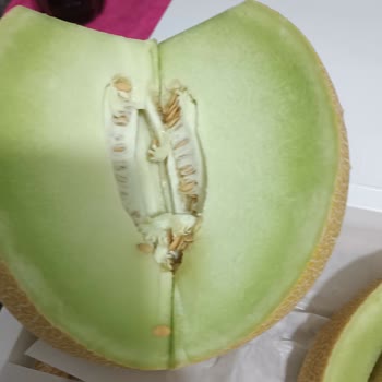 Migros Sanal Marketten Gelen Çürük Kavun Ve Çözümsüz İade Süreci