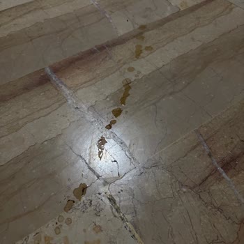 Dökülen Kahve, Umursamaz Kurye Ve Yetersiz Telafi