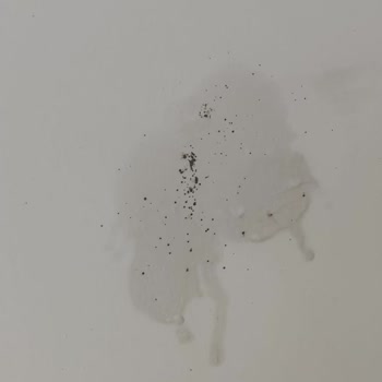Enza Home'dan Aldığım Baza Başlığında Tahtakurusu Şoku