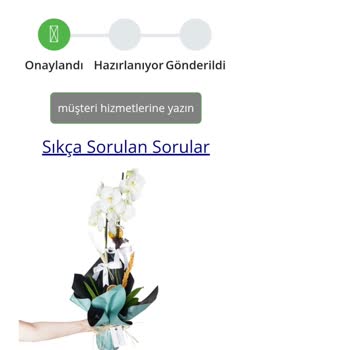 Aldığım Orkide Solmuş Dalları Ayrık Ve Beklentimin Çok Altında