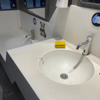 İDO Yalova Terminalindeki Yüksek Tuvalet Ücreti Ve Temizlik Sorunu