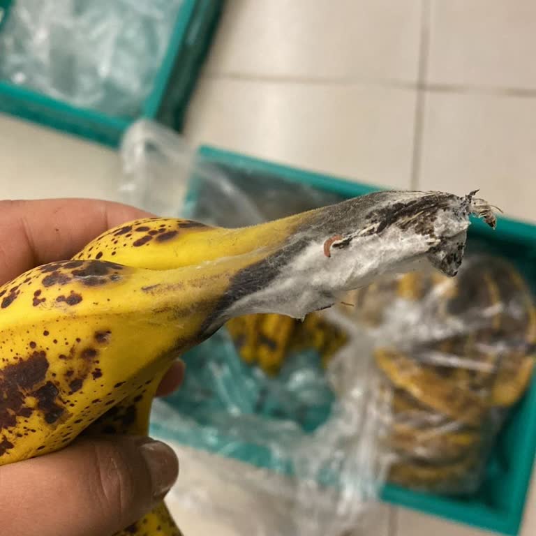 Şok Markette Küflü Muz Satışı Ve İlgisiz Mağaza Yönetimi