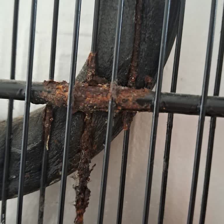 Arçelik Yeni Alınan Derin Dondurucuda Beklenmedik İkinci El İzlenimi