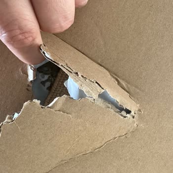 Bir Günde Kargo Paketi Yırtılmış Ve Ürünlere Bakılmış Şekilde Teslim Edildi