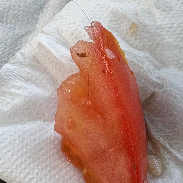 Otel Hizmetlerinde Tutarsızlık Ve Bilgi Eksikliği