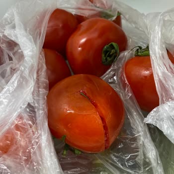 Mopaş Marketten Aldığım Siparişte Ürünler Hasarlı Ve Hizmet Yetersizdi