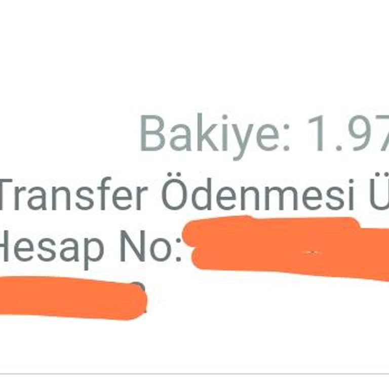 Yurt Dışı Dolar Transferinde Yüksek Kesinti Mağduriyeti