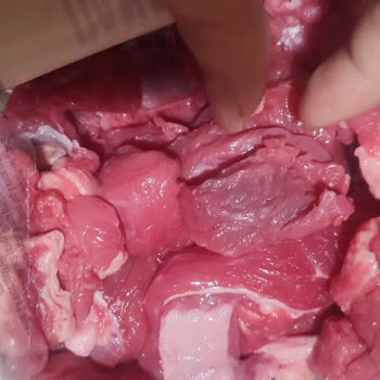A101 Kapıda'dan Bozuk Ve Son Kullanım Tarihi Yakın Et Gönderildi