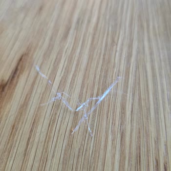 Beyzadem Kebap Arnavutköy Yemeklerin İçinden Çıkanlar Şok Etti