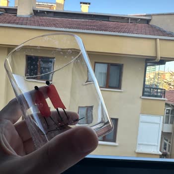 Bosch Bulaşık Makinesi Eşyalarımda Kalıcı İz Bıraktı, Çözüm Sunulmadı