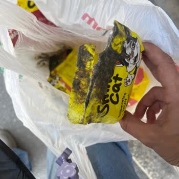 Kediler İçin Aldığım Yaş Mamada Yoğun Tüp Gaz Kokusu Ve Siyah Renk Şoku