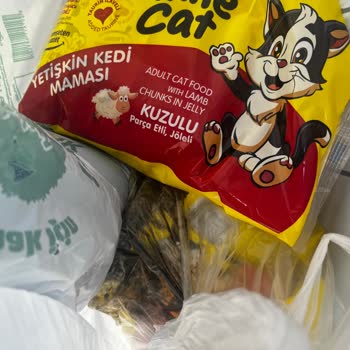 Kediler İçin Aldığım Yaş Mamada Yoğun Tüp Gaz Kokusu Ve Siyah Renk Şoku