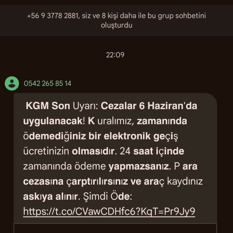 İzinsiz SMS İle Gruba Eklenme Ve Şüpheli Link Gönderimi