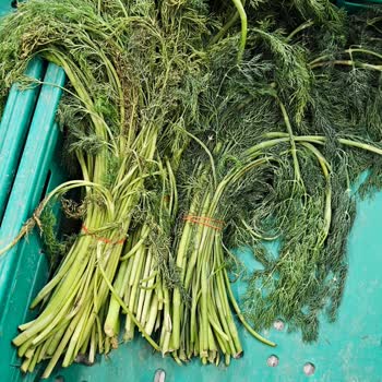 Migros Bodrum'da Kasa Ve Ürünlerde Güvenlik Ve Tazelik Sorunu