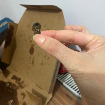 Dominos Pizzada Dev Zeytin Çekirdeğiyle Karşılaştım Dişimi Kırıyordum