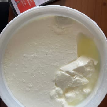 Tarihi Geçmemiş Yoğurt Küflü Çıktı, Sağlığımız Tehlikede