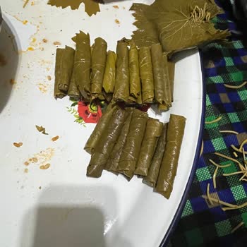 Aldığım Asma Yaprağından Çıkan Yabancı Madde Büyük Hayal Kırıklığı Yarattı