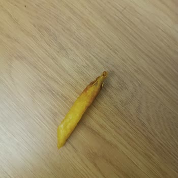 Superfresh Donmuş Patatesten Çıkan Yabancı Madde Şaşkınlığı