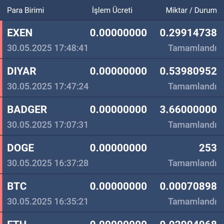 Hesabımdaki Paranın İznim Dışında Transfer Edilmesi Ve Destek Eksikliği