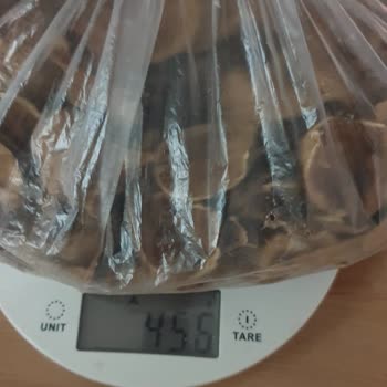 Migros'tan Aldığım Kabuklu Cevizde 407 Gramlık Gramaj Eksikliği