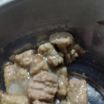 Tarihi Geçmemiş Mama Bozuk Çıktı, Sağlık Riski Oluşturuyor