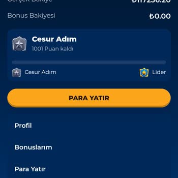 Promosyon Koduyla Kazandığım Tutarın Ödenmemesi Ve Bakiye Sorunları