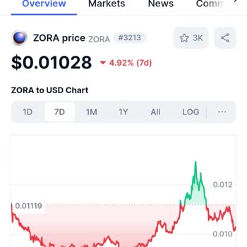Bitexen'de Zora Coin Delist Edildi, Müşteriler Mağdur Edildi