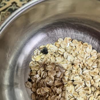 Wefood Glütensiz Yulaf Ezmesinde Sinek Ölüsü Çıkması Ve Sağlık Endişesi