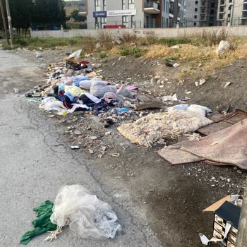 Buca Efeler Yurdu Önündeki Çöp Konteynırlarının Sürekli Kirli Olmasından Şikayetçiyim