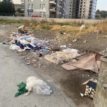 Buca Efeler Yurdu Önündeki Çöp Konteynırlarının Sürekli Kirli Olmasından Şikayetçiyim