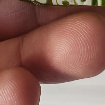 Bolçi Çikolata Aldığım Çikolataların İçinden Kurt Ve Böcek Çıktı!