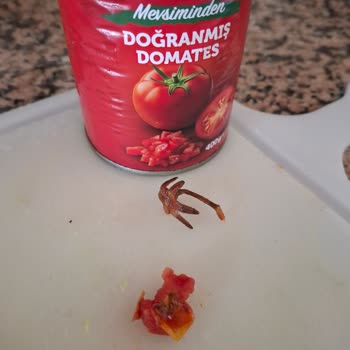 Satın Aldığım Doğranmış Domateste Çürük Parça Ve Sap Şoku: Markadan Yetersiz İlgi