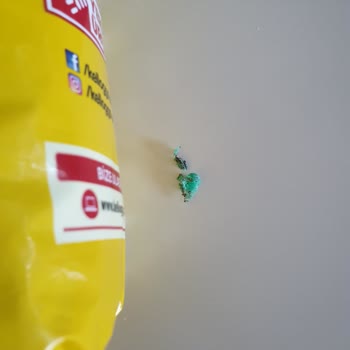 Kellogg's Kahvaltılık Gevrekten Plastik Parça Çıkması Büyük Hayal Kırıklığı